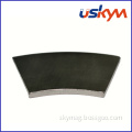 China Special Shape Nickel NdFeB Magnet (S-003)